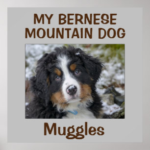 Póster Personalizado Dog Wall Art