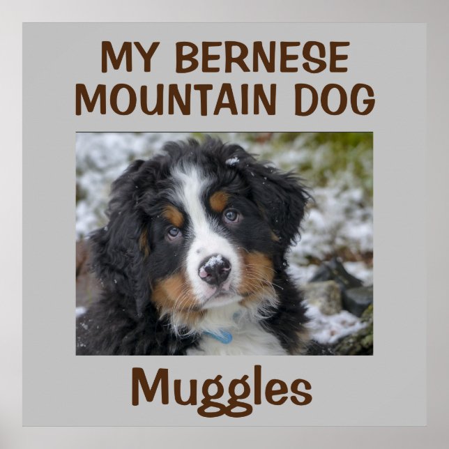 Póster Personalizado Dog Wall Art (Frente)