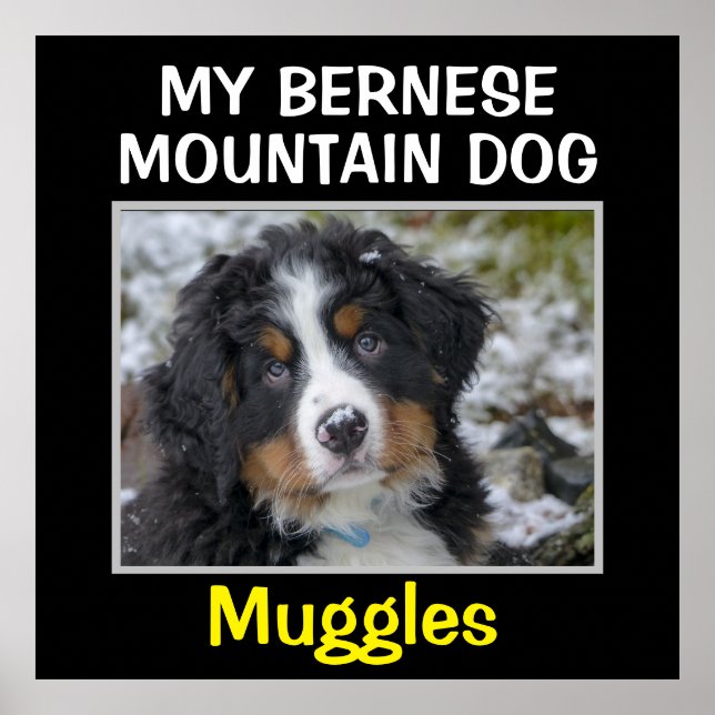 Póster Personalizado Dog Wall Art (Frente)