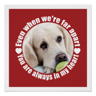 POSTER personalizado Far Apart