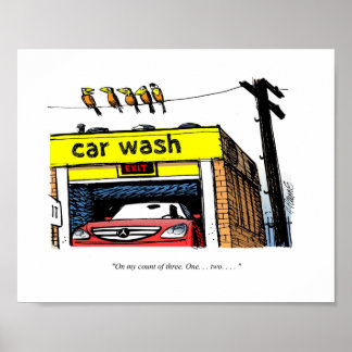 Póster Personalizado Mercedes Car Wash Birds