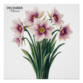 Póster Personalizado Narcissus Bloom - Regalo de diciembr