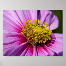 Póster personalizado Personaliza Aniversarios Destiny'S D