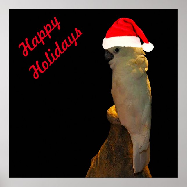 Póster Personalizado Posando santa festividad Pájaro Cock (Frente)