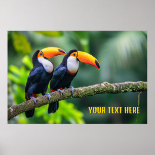 Póster Personalizado Texto Toucanes tropicales
