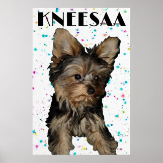 Póster ¡Personalízalo! Foto y nombre de mascota con flore