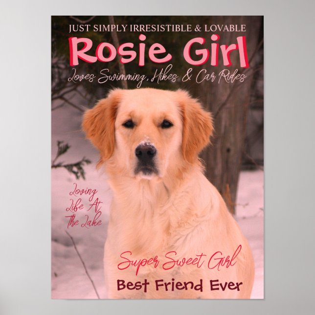 Póster Personalizar Con Su Foto Mascota (Frente)