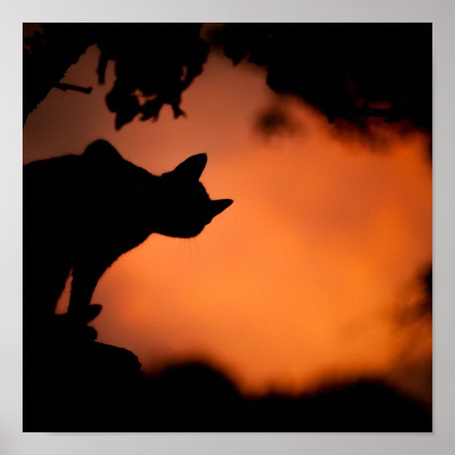 Póster Personalizar de fondo de Naranja negro de Hallowee (Frente)