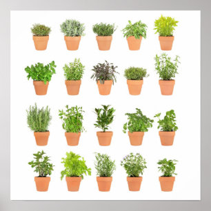 Póster Personalizar herbario Potted de las plantas con su