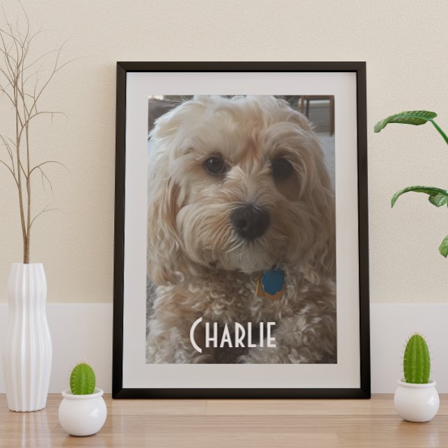 Póster Personalizar su perro familiar (Subido por el creador)