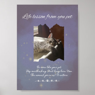 Póster Personalized Dreamy Life Lessons from your Pet