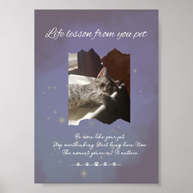 Póster Personalized Dreamy Life Lessons from your Pet  (Frente)