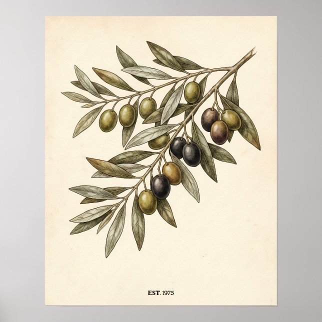 Póster Personalized Rustic Vintage Olive Branch Kitchen (Frente)