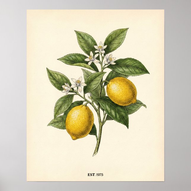 Póster Personalized Vintage Lemon Botanical Farmhouse Kit (Frente)