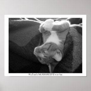 Póster Perspectiva