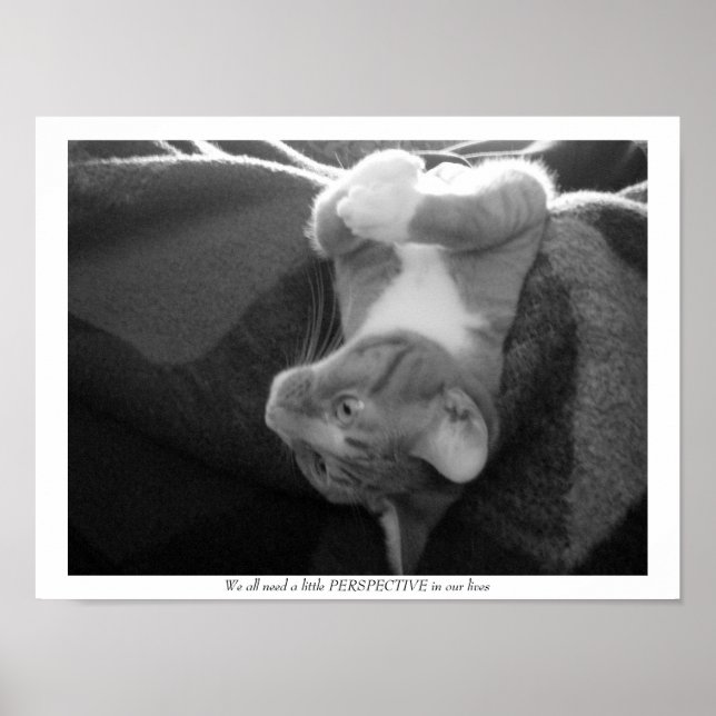 Póster Perspectiva (Frente)