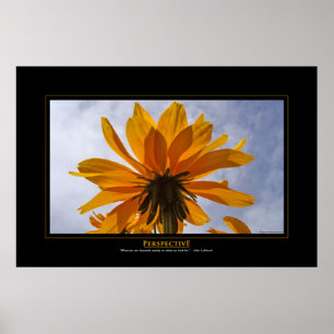 Póster Perspectiva