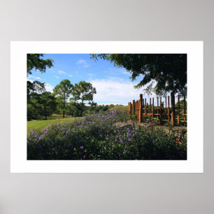 Póster Perspectiva de la cerca de Bambú