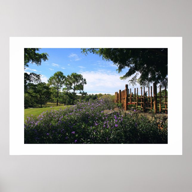 Póster Perspectiva de la cerca de Bambú (Frente)