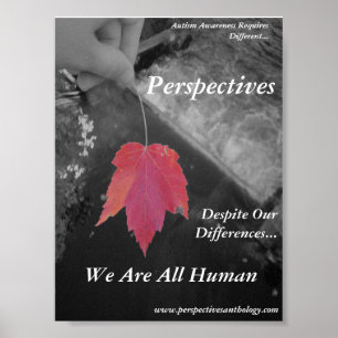 Póster Perspectives Poster