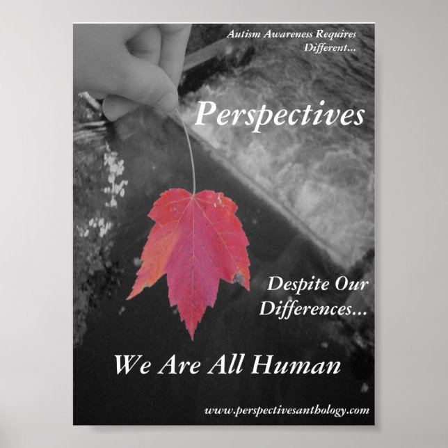 Póster Perspectives Poster (Frente)