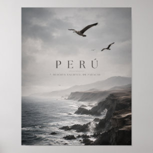 Póster Perú Paracas Moody Viaje Costero