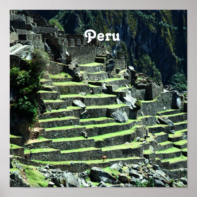 Póster Peru Ruins (Frente)