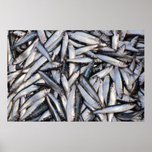 Póster Pesca
