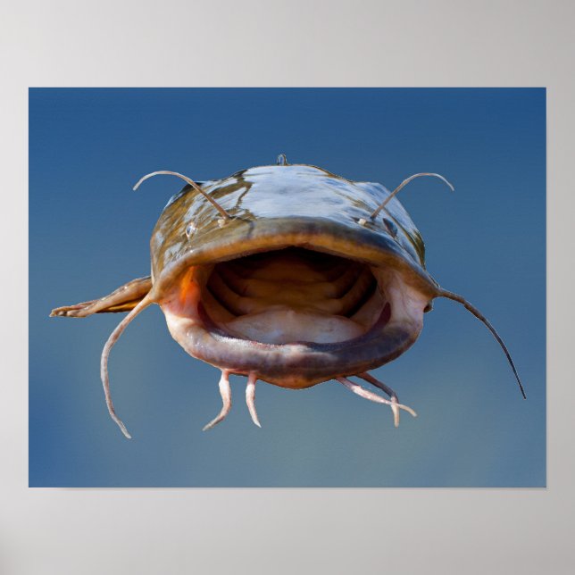 Póster Pesca de Boca Grande (Frente)