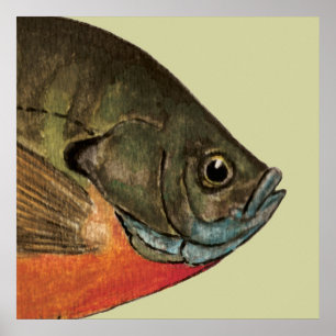 Póster Pesca de brea