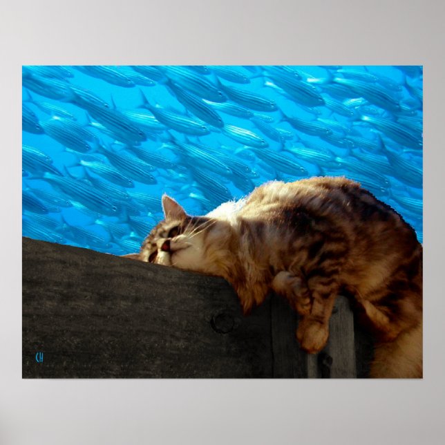 Póster Pesca de captura (Frente)