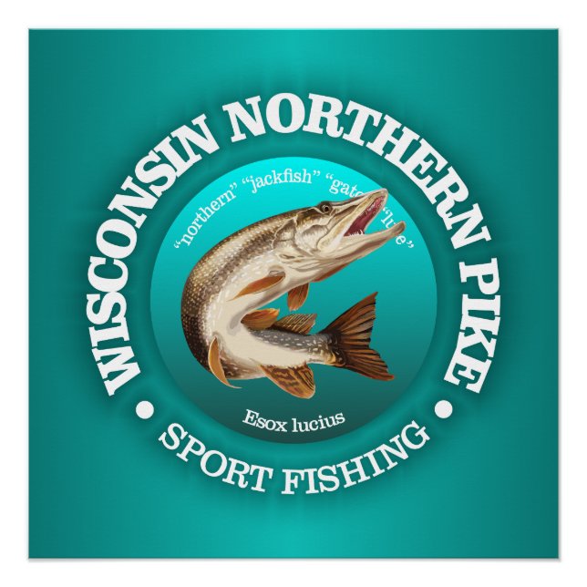 Póster Pesca de coca Wisconsin (Anverso)