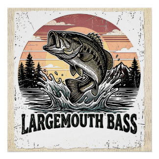 Póster Pesca de lubina vintage