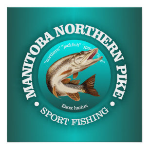 Póster Pesca de lucio de Manitoba