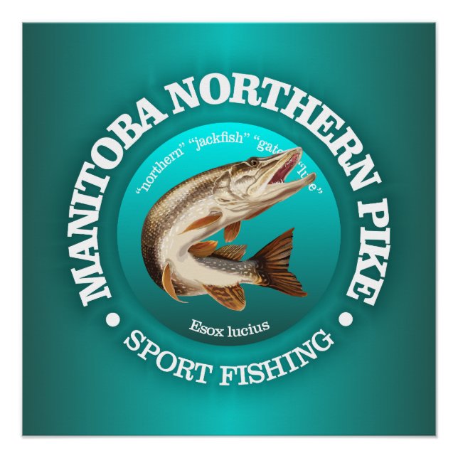Póster Pesca de lucio de Manitoba (Anverso)
