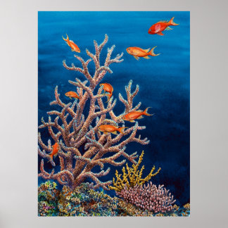 Póster Pesca de oro del mar
