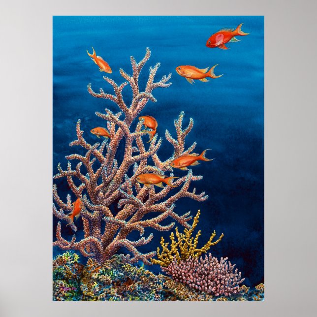 Póster Pesca de oro del mar (Frente)