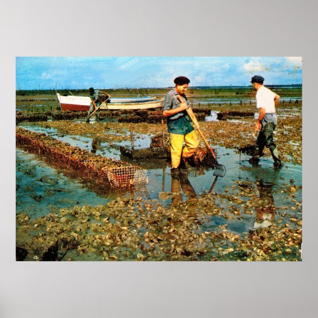 Póster Pesca de ostras en Francia (Frente)