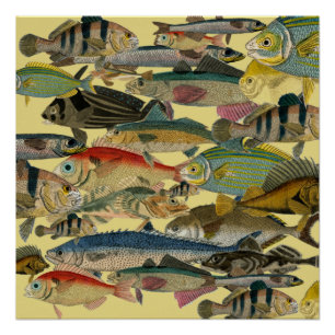 Póster Pesca de pescadores Pesca en aguas profundas Exóti