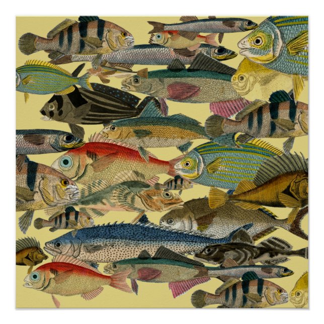 Póster Pesca de pescadores Pesca en aguas profundas Exóti (Anverso)