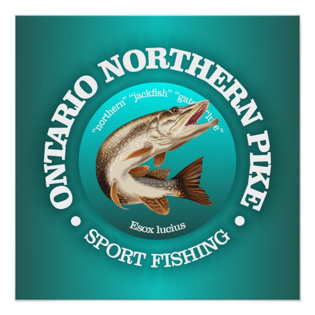 Póster Pesca de Pike en Ontario (Anverso)
