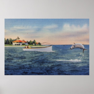 Póster Pesca de Tarpon