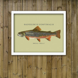 Póster Pesca de trucha rota