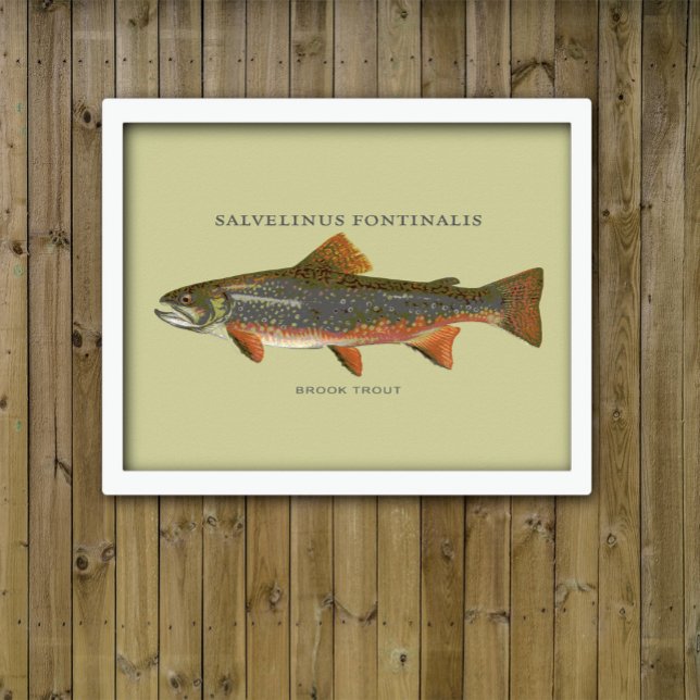 Póster Pesca de trucha rota (Subido por el creador)