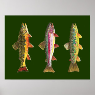 Póster Pesca de truchas