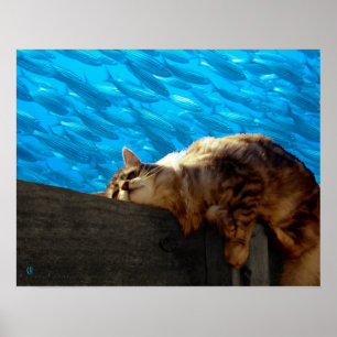 Póster Pesca del Catnap