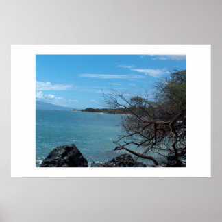 Póster Pesca en Hawái