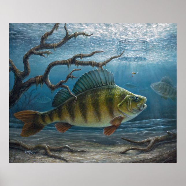 Póster Pesca en hielo de percas (Frente)
