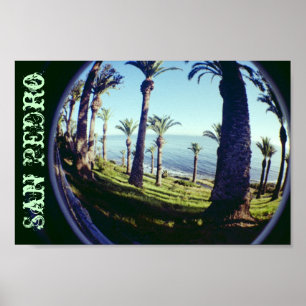 Póster Pesca Ojo San Pedro Palmeras Costa