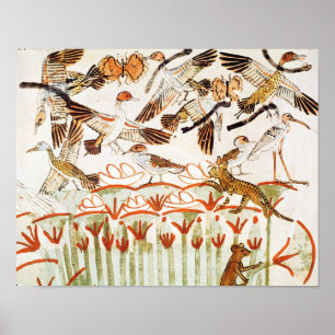 Póster Pesca y fowling en los pantanos